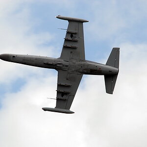 AERO L-159 ALCA 02