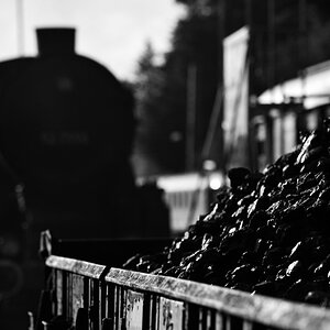 DSC 4127 web crop bw