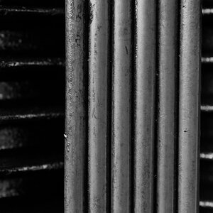 DSC 4115 web crop