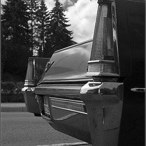 Caddy sw