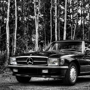 2011.07.30 11.51.57 bw