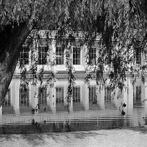 The Mansion
