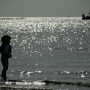 DSC5796.1