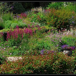 cotehele 4