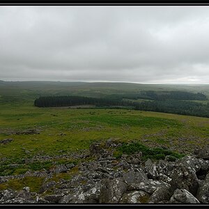 dartmoor 3