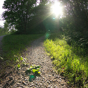 ZENITAR 16mm f/2.8 diagonales Fisheye bei f/5.6