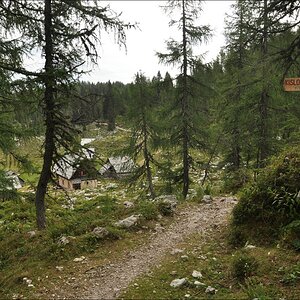 comp Slowenien3 124b Planina Dedro Polje