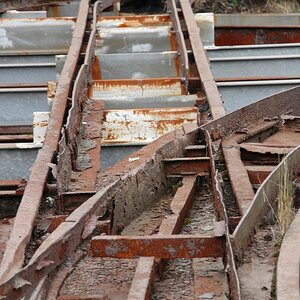 k DSC 6444