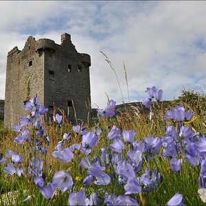 comp Irland1 126b Turm am Wunschbaum Gleninagh Castel