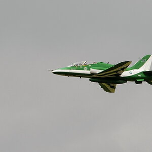 Royal Saudi Hawks 01