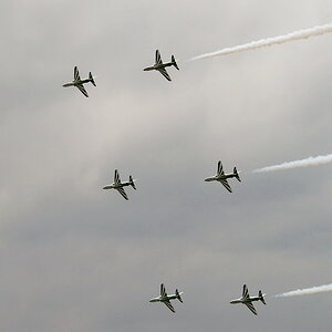 Royal Saudi Hawks 02