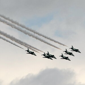 Royal Saudi Hawks 03
