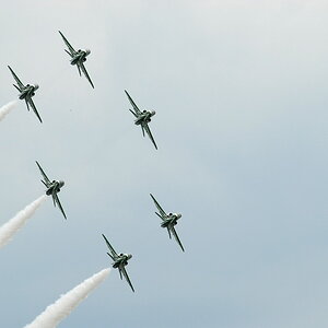 Royal Saudi Hawks 05