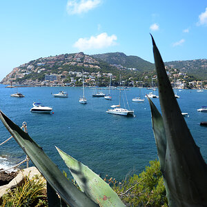 Port d'Antrax