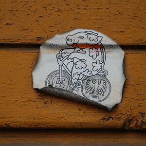 DSC 7703 Bildgröße ändern