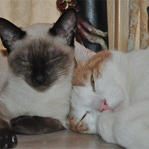 Sanya und Samson