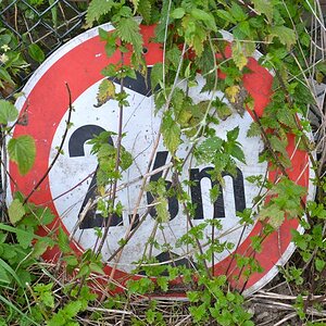 schild