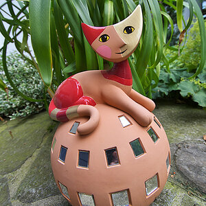 Rosina Wachtmeister Katze