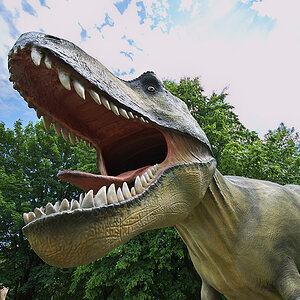 Dino T-Rex