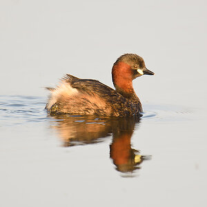 20110704 4173 [NIKON D7000] 850 mm,1 200 Sek. bei ƒ   6,3
