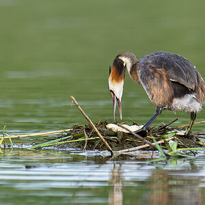 20110710 4758 [NIKON D7000] 850 mm,1 100 Sek. bei ƒ   7,1