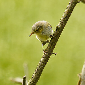 20110707 4530 [NIKON D7000] 850 mm,1 100 Sek. bei ƒ   6,3