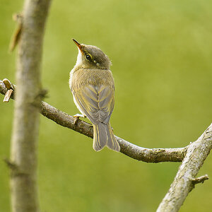 20110707 4533 [NIKON D7000] 850 mm,1 100 Sek. bei ƒ   6,3