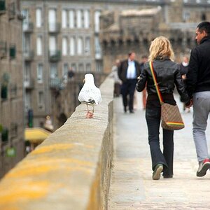 stmalo