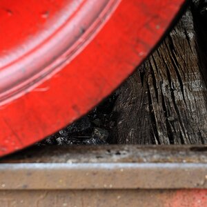 DSC 4321 web crop