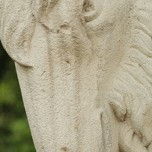 (D300; 90/2.8; MHX 0051cnxX)