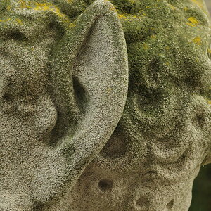 Mr. Spock? (D300; 90/2.8; MHX 0063cnxX)