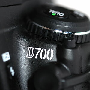 DSC 4809