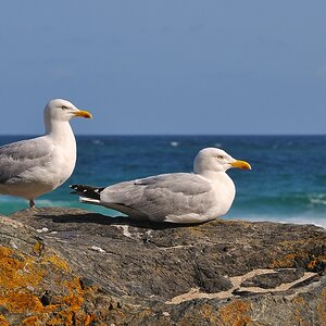 Alles im Blick....