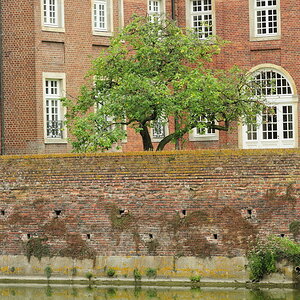 Schlosshofbaum MHX 0100cnxX