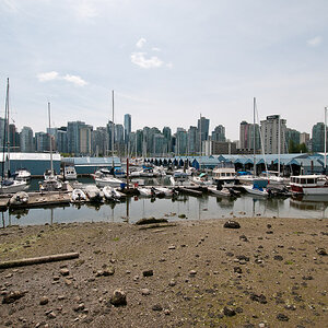 DSC 3111