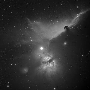 ic435nff2