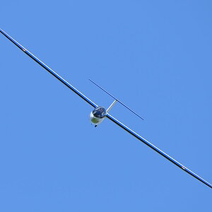 D30 0010 copy