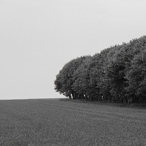 NF B 2011 06 06 14 43 04 04 nx sw