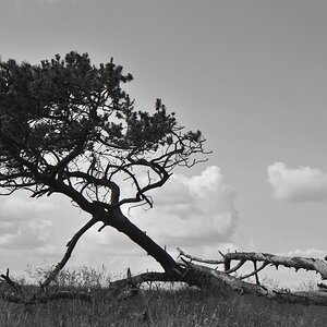 NF B 2011 06 12 10 45 27 02 nx