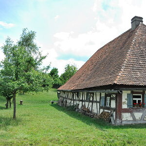 A11 2922