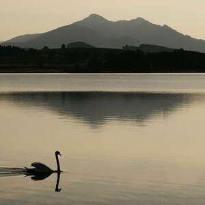 Der Hopfensee im Allgäu bei Sonnenuntergang.