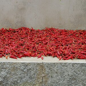 nff chillies