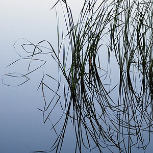 Spiegelung
