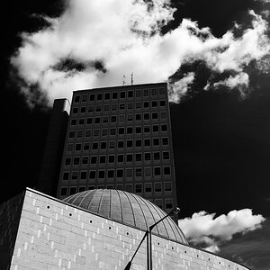 Linien