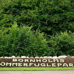 DSC6875 NF-F
Sommerfuglepark