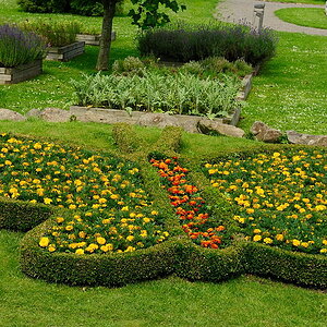DSC6920 NF-F
Sommerfuglepark