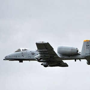 A 10 1