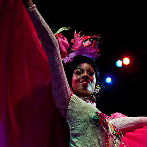 2011 Tropicana 4
