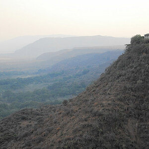 Blick von der Grabenbruchkante
auf den  Lake Manyara Nationalpark
0852
