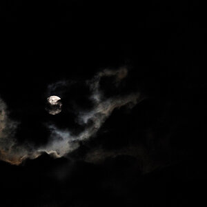 mond mit hof 1
